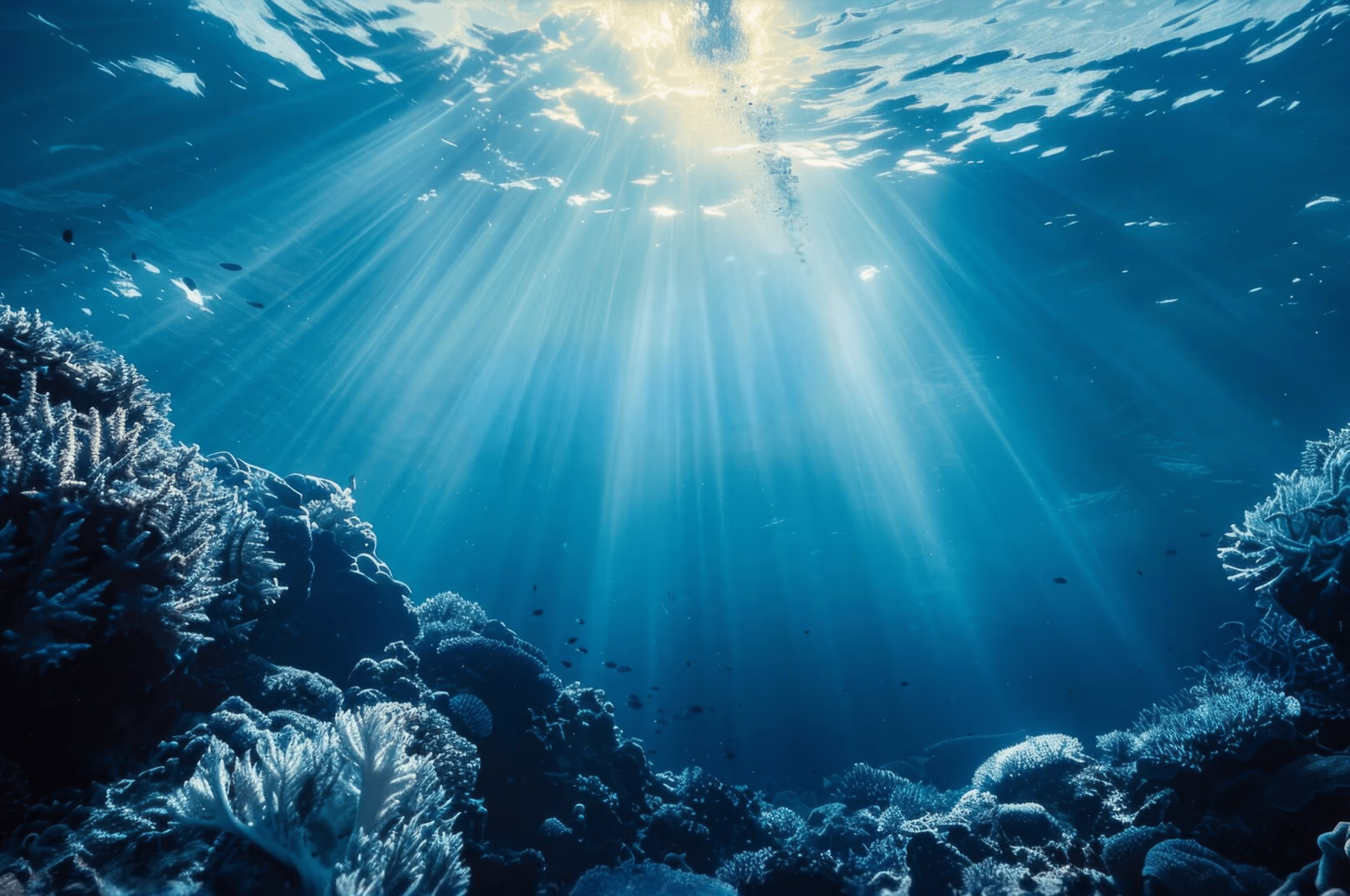 Experience the best of Amed at Aqua Dive Resort