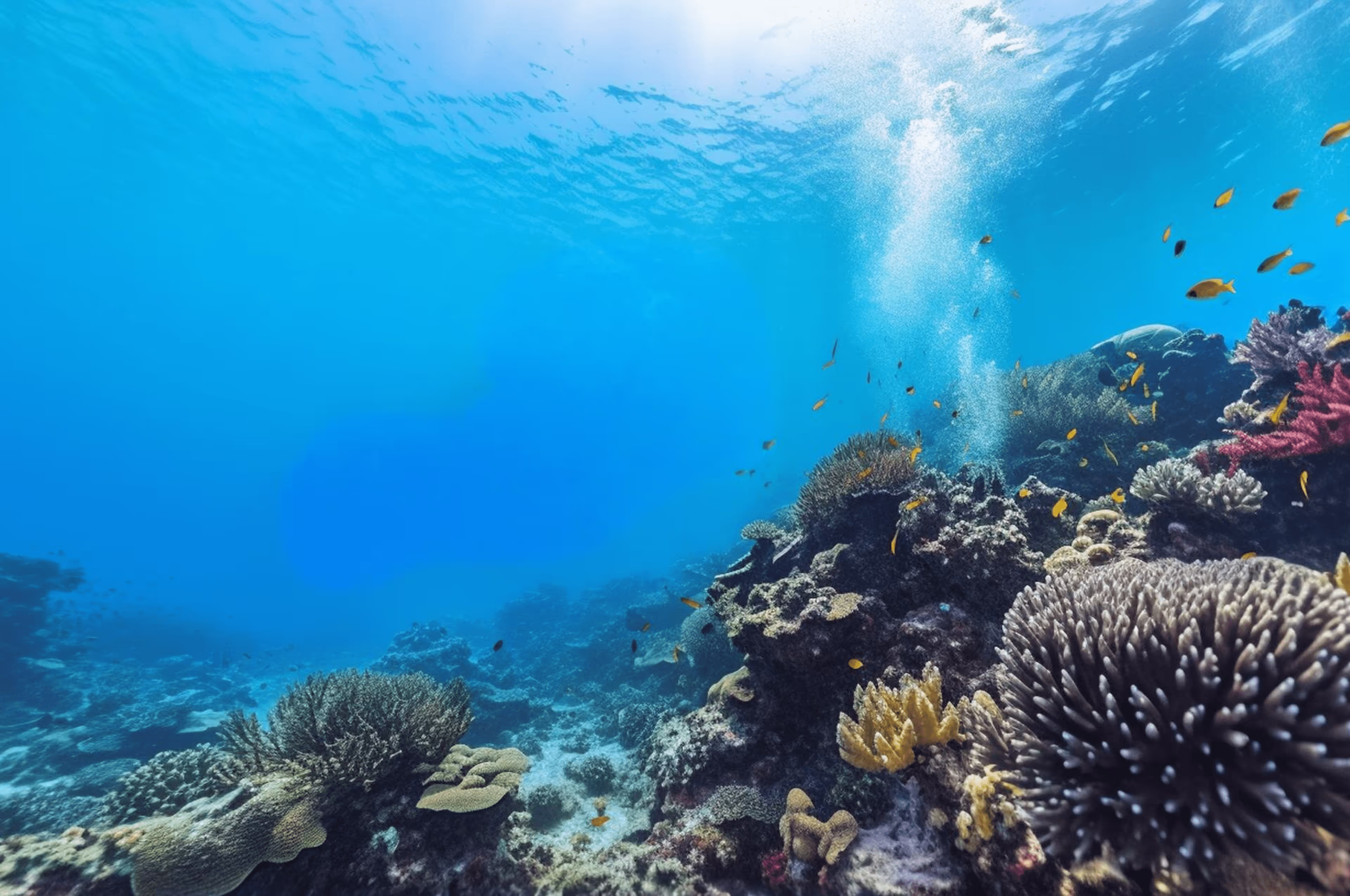 Relax, Refresh, and Dine — Aqua Dive Resort Amed, Bali