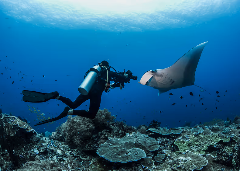 Fun Dives — Aqua Dive Resort Amed, Bali