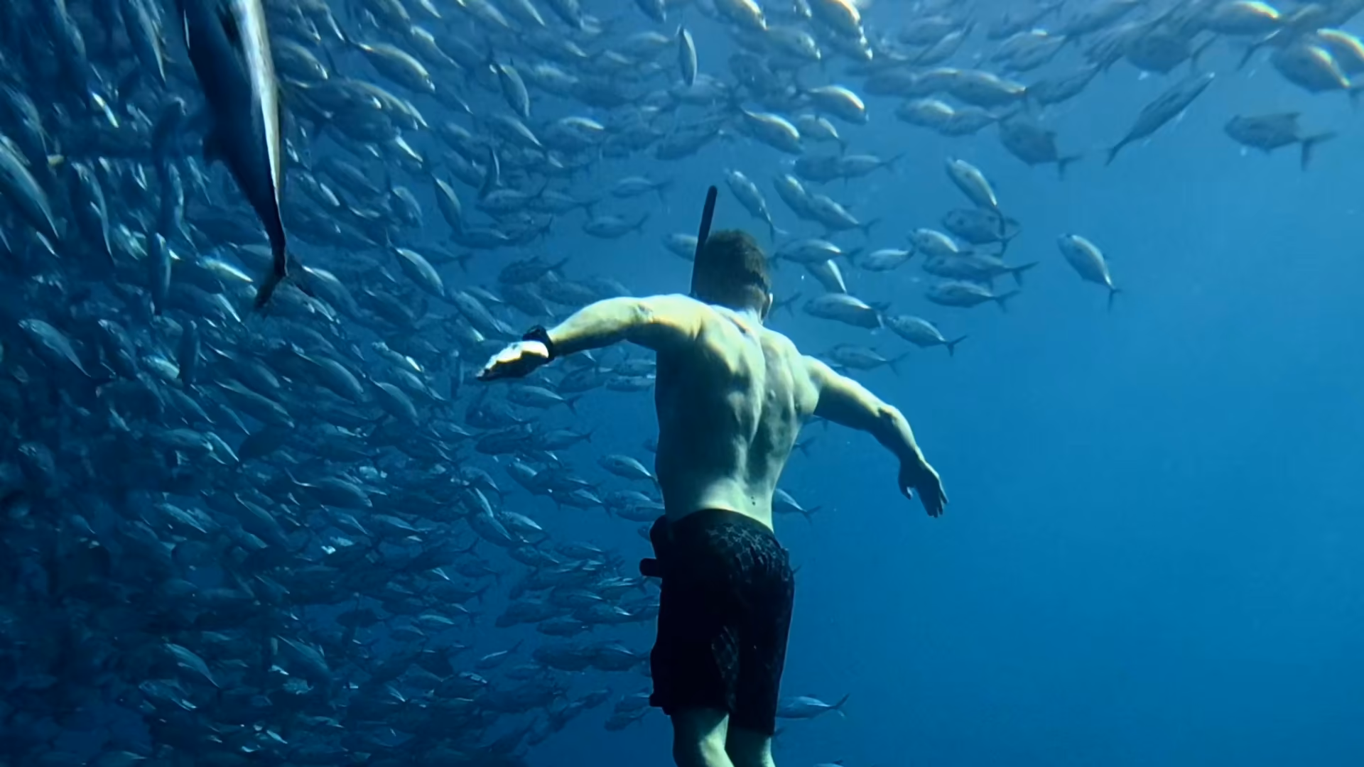 Experience the best of Amed at Aqua Dive Resort